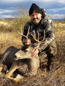 Mule Deer